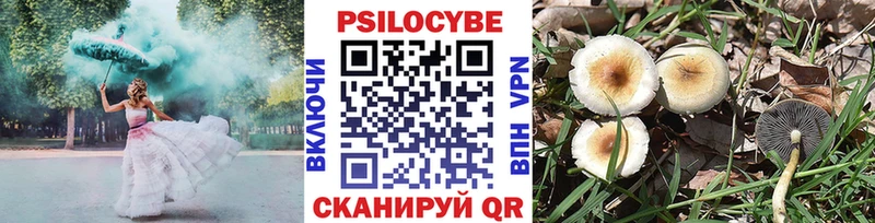 наркотики Сковородино Галлюциногенные грибы ЛСД